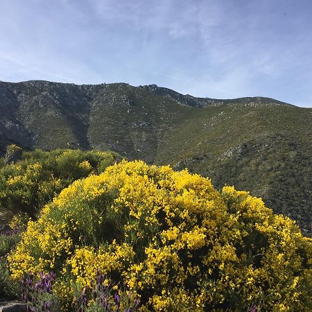 Casa Rural Sierra De Tormantos Guijo de Santa Bárbara Zewnętrze zdjęcie