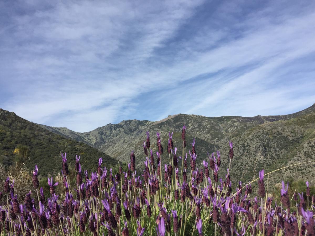 Casa Rural Sierra De Tormantos Guijo de Santa Bárbara Zewnętrze zdjęcie